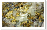Gediegen Gold in Quarz Sirnitz Bildausschnitt 3mm